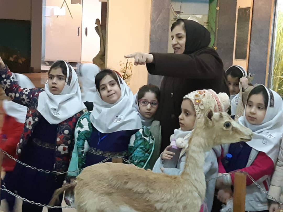 بازدید دانش آموزان پیش دبستان و پایه های اول و دوم از موزه جانورشناسی محیط زیست گیلان